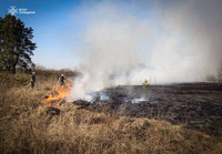 Рятувальники Вишгородщини за добу ліквідували дві пожежі сухої рослинності