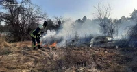 Горішні Плавні: вогнеборці загасили пожежу на території садового товариства