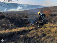 Вінницькі рятувальники ліквідували 6 пожеж в екосистемах
