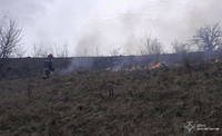 На Вінниччині рятувальники ліквідували 9 загорянь в екосистемах