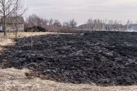 Рятувальники Чернігівщини ліквідували 7 пожеж