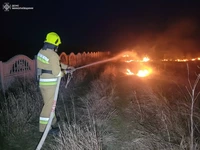 Миколаївська область: протягом доби рятувальники ліквідували сім пожеж