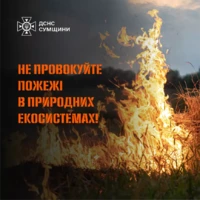 Звертаємось до жителів Сумщини не провокувати пожежі в природних екосистемах