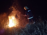 На Вінниччині бійці ДСНС ліквідували 17 пожеж в природних екосистемах