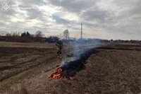 За минулу добу на Чернігівщині вигоріло понад 4 га сухої рослинності