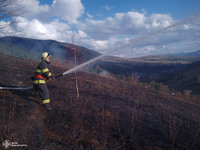 Кількість пожеж в екосистемах на Закарпатті щодня встановлює нові антирекорди