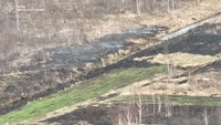 За добу вогнеборцями області ліквідовано 9 пожеж у природних екосистемах на загальні площі майже 6 га