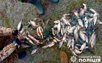 У Вознесенському районі правоохоронці викрили браконьєра на незаконному вилові риби