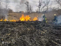 На Звенигородщині рятувальники ліквідували дві пожежі сухої рослинності
