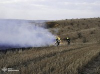 Бійці ДСНС ліквідували 19 загорянь в природних екосистемах