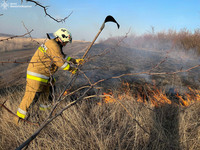 Миколаївщина: за добу зареєстровано 6 пожеж на відкритих територіях загальною площею майже 10 га