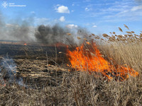 В Костянтинівській громаді вогнеборці ліквідували масштабну пожежу очерету