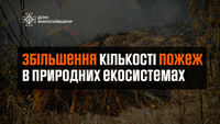 За добу на Миколаївщині вогнеборці загасили 6 пожеж в екосистемах