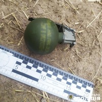 Зберігав вдома гранату: поліцейські вилучили боєприпас у жителя Пулинської громади