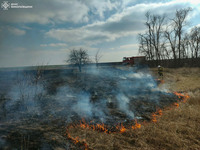 На Миколаївщині знову палають екосистеми