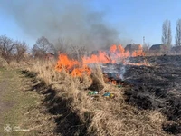 Впродовж минулої доби рятувальники Рівненщини ліквідували 3 загоряння побутового сміття на відкритій території
