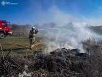 За добу на Миколаївщині зареєстровано 10 пожеж на відкритих територіях