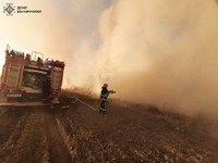 На Вінниччині за минулу добу ліквідовано 30 пожеж сухої рослинності