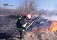 Впродовж минулої доби рятувальники разом із пожежними місцевих пожежних команд приборкали понад двадцять займань сухої трави