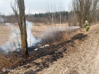 Охтирський район: ліквідувуючи загоряння сухої рослинності, вогнеборці врятували ліс