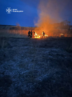 За минулу добу на Львівщині вогнеборці ліквідували 32 пожежі сухої трави