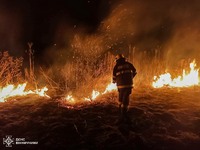 На Вінниччині рятувальники ліквідували 52 пожежі в природних екосистемах