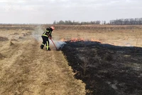 На минулому тижні рятувальники Чернігівщини 113 раз залучались для ліквідації пожеж та надзвичайних подій