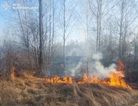 Упродовж доби в області зафіксовано 30 пожеж у природних екосистемах
