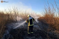 Полтавський район: рятувальники загасили займання сухої рослинності
