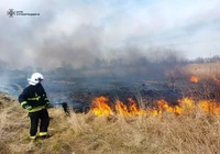 Кіровоградська область: рятувальники загасили 21 пожежу на відкритих територіях