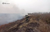 Кіровоградська область: рятувальники ліквідували 9 займань на відкритій місцевості