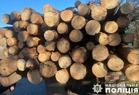 На Полтавщині поліцейські виявили підроблені документи на перевезення деревини