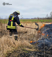 Рятувальниками ліквідовано 2 пожежі трав'яного настилу