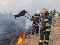 Сумська область: упродовж доби рятувальники 10 разів ліквідували загоряння в екосистемах
