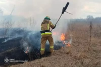 Синельниківський район: вогнеборці ліквідували 2 масштабні пожежі в екосистемі
