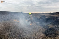 Полтавський район: рятувальники загасили займання сухої рослинності