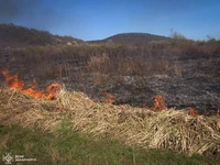 146 пожеж сухої трави ліквідовано на Закарпатті з початку року