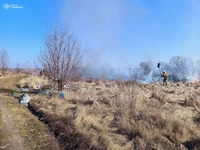 Сумська область: вогнеборці вкотре приборкували загоряння в природних екосистемах