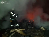 Чернівецький район: минулої доби рятувальники ліквідували 4 пожежі