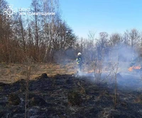 За добу в області зафіксовано 6 пожеж сухої трави, на одному із таких випадків травмувалася жінка