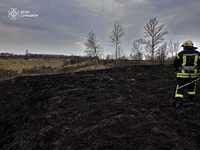 Сумська область: упродовж доби рятувальники 14 разів ліквідували загоряння в екосистемах