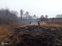 Сумська область: рятувальники упродовж доби ліквідовували загоряння сухої рослинності