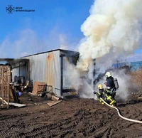 Вогнеборці ліквідували пожежу на території пилорами у місті Тисмениця