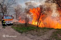 У Дніпрі рятувальники ліквідували масштабну пожежу в екосистемі