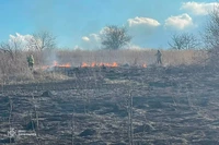 За минулу добу рятувальники Рівненщини ліквідували 4 пожежі в природних екосистемах