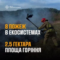 Тернопільщина: протягом минулої доби ліквідовано 8 пожеж в екосистемах