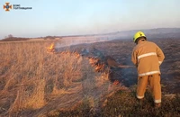 Полтавський район: рятувальники ліквідували займання сухої рослинності