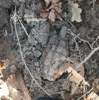 Золочівський район: гуляючи лісом чоловік знайшов гранату часів II Світової війни