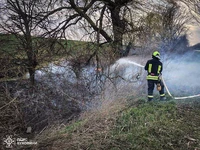 Чернівецька область: внаслідок пожеж на відкритій території знищено майже 8 га рослинності
