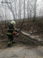 Рятувавльники прибрали з автошляхів повалені вітром дерева